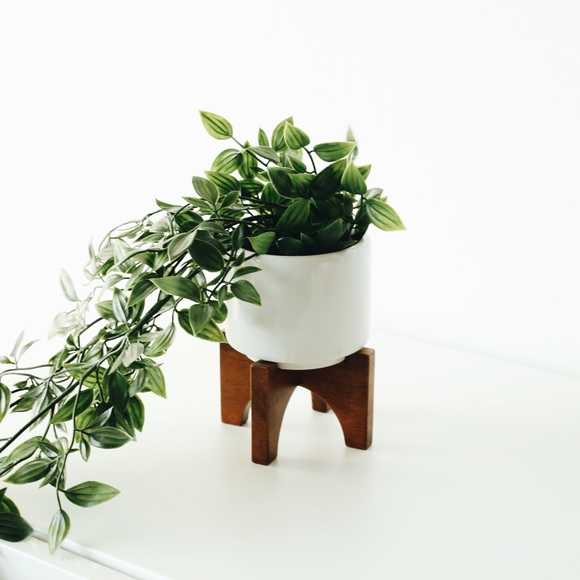 West Elm Other - West Elm Mid Century Planter